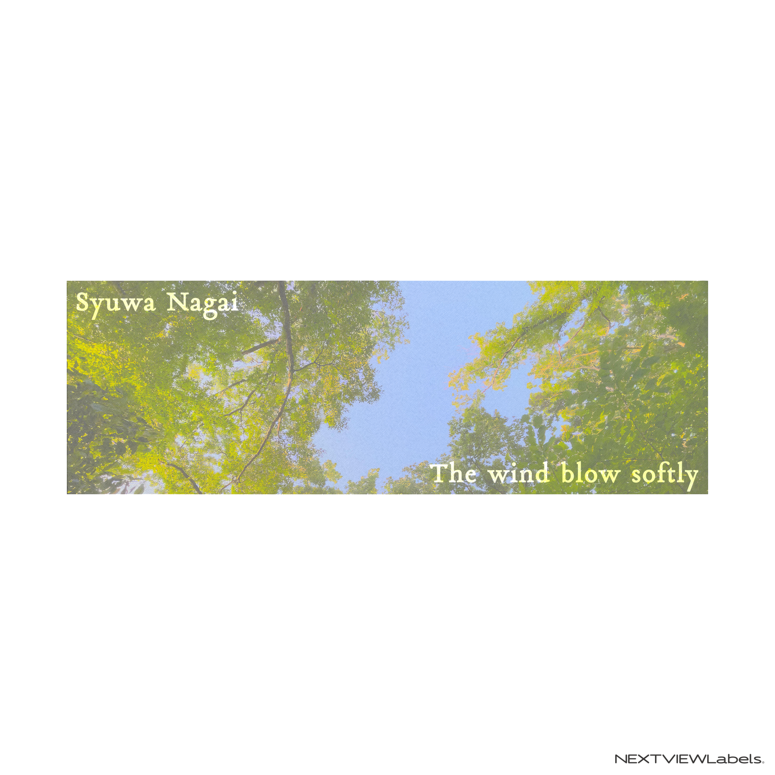 The wind blow softly